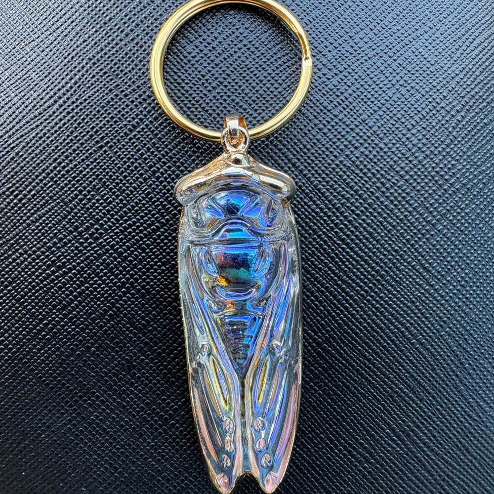 Iridescent Cicada Key Holder